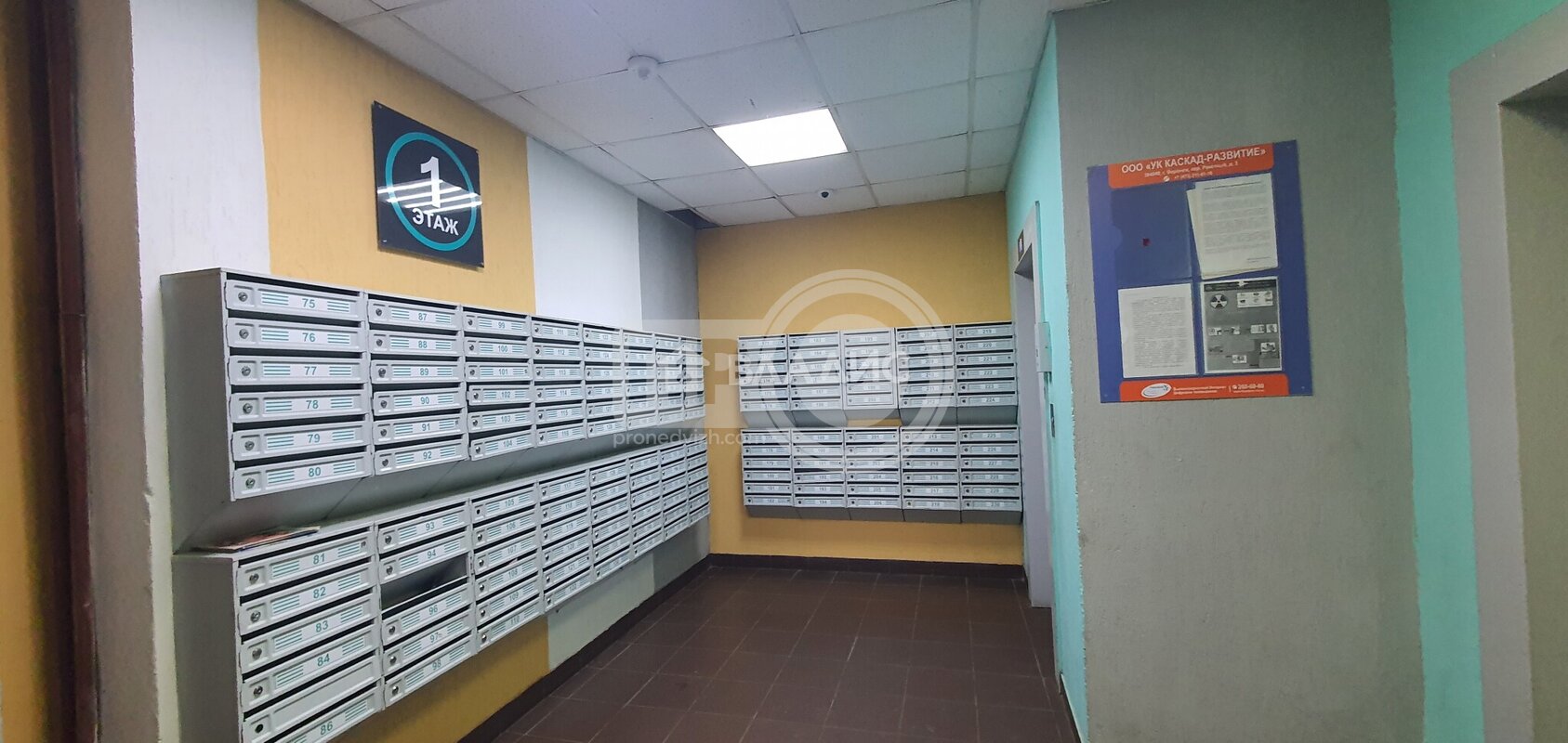 0к, 9/25 К, Россия, Воронеж, Ракетный переулок, 2, 26 кв.м