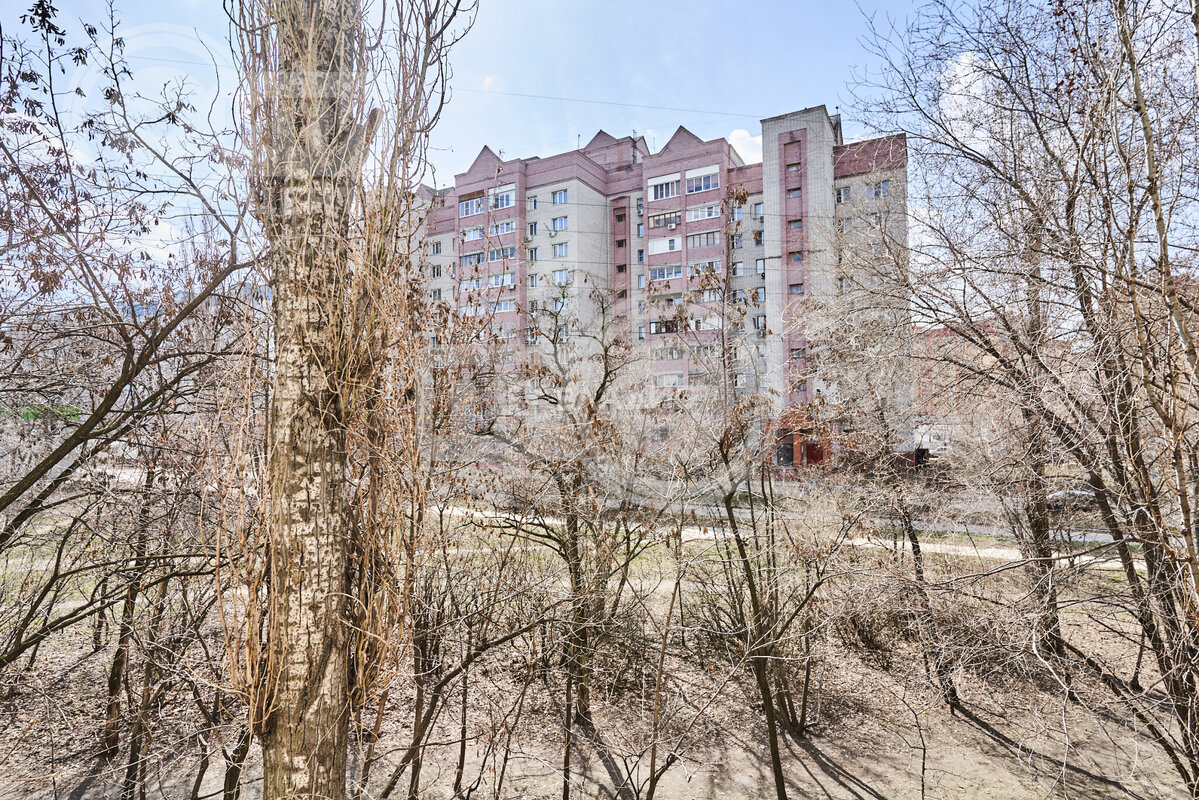 2к, 2/9 М, Россия, Воронеж, улица Артамонова, 24, 43.2 кв.м