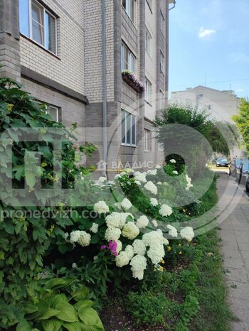 Миниатюра 2к, 4/6 К, Россия, Воронежская область, Семилуки, Транспортная улица, 12/5, 58.9 кв.м