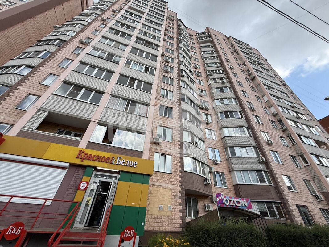 1к, 16/16 К, Россия, Воронеж, Минская улица, 67А, 41 кв.м