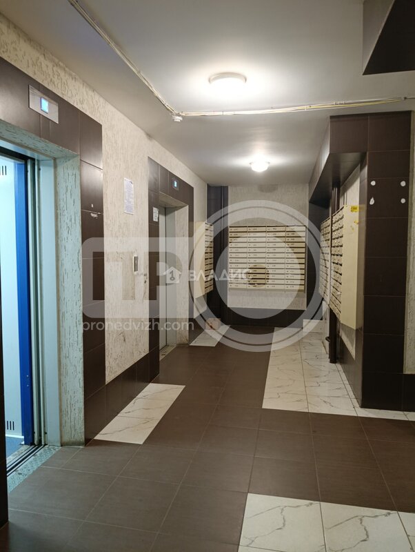 1к, 15/17 К, Россия, Воронеж, Новосибирская улица, 61Д, 33.6 кв.м