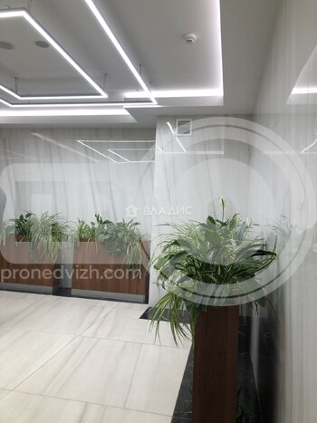 Миниатюра 0к, 13/17 М, Россия, Воронеж, улица Куколкина, 18, 24.2 кв.м