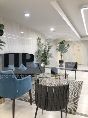 Миниатюра 0к, 13/17 М, Россия, Воронеж, улица Куколкина, 18, 20.8 кв.м