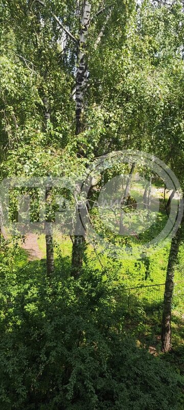 2к, 4/5 К, Россия, Воронеж, улица Тимирязева, 21А, 44.9 кв.м