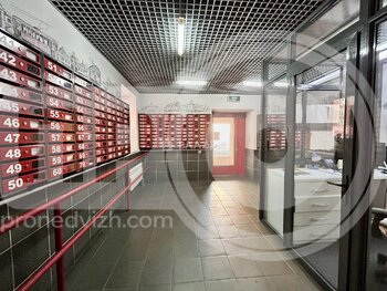 Миниатюра 0к, 9/17 К, Россия, Воронеж, улица Кривошеина, 13/9, 24.4 кв.м