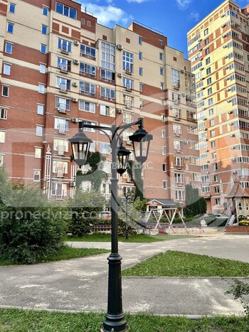 Миниатюра 0к, 9/17 К, Россия, Воронеж, улица Кривошеина, 13/9, 24.4 кв.м