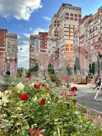 Миниатюра 0к, 9/17 К, Россия, Воронеж, улица Кривошеина, 13/9, 24.4 кв.м