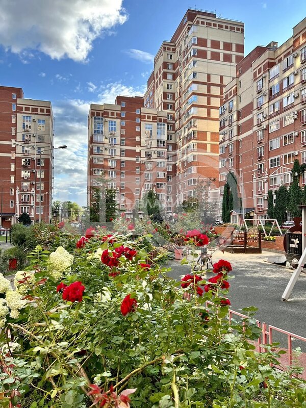 0к, 9/17 К, Россия, Воронеж, улица Кривошеина, 13/9, 24.4 кв.м