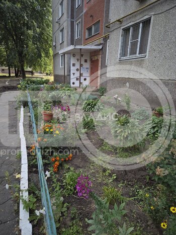 Миниатюра 3к, 6/9 К, Россия, Воронеж, Новосибирская улица, 24, 63.2 кв.м