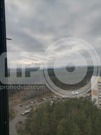 Миниатюра 1к, 18/19 М, Россия, Воронеж, улица 9 Января, 233/54, 48.9 кв.м