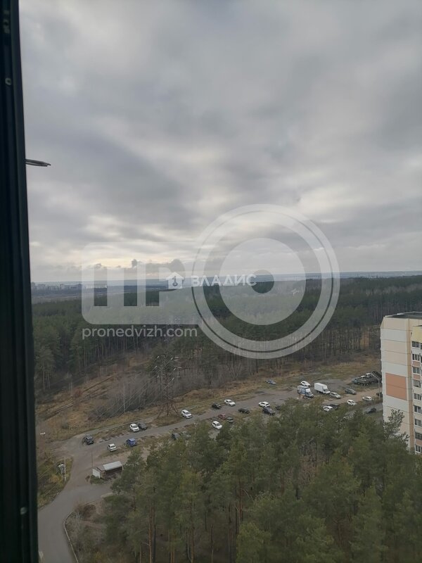 1к, 18/19 М, Россия, Воронеж, улица 9 Января, 233/54, 48.9 кв.м