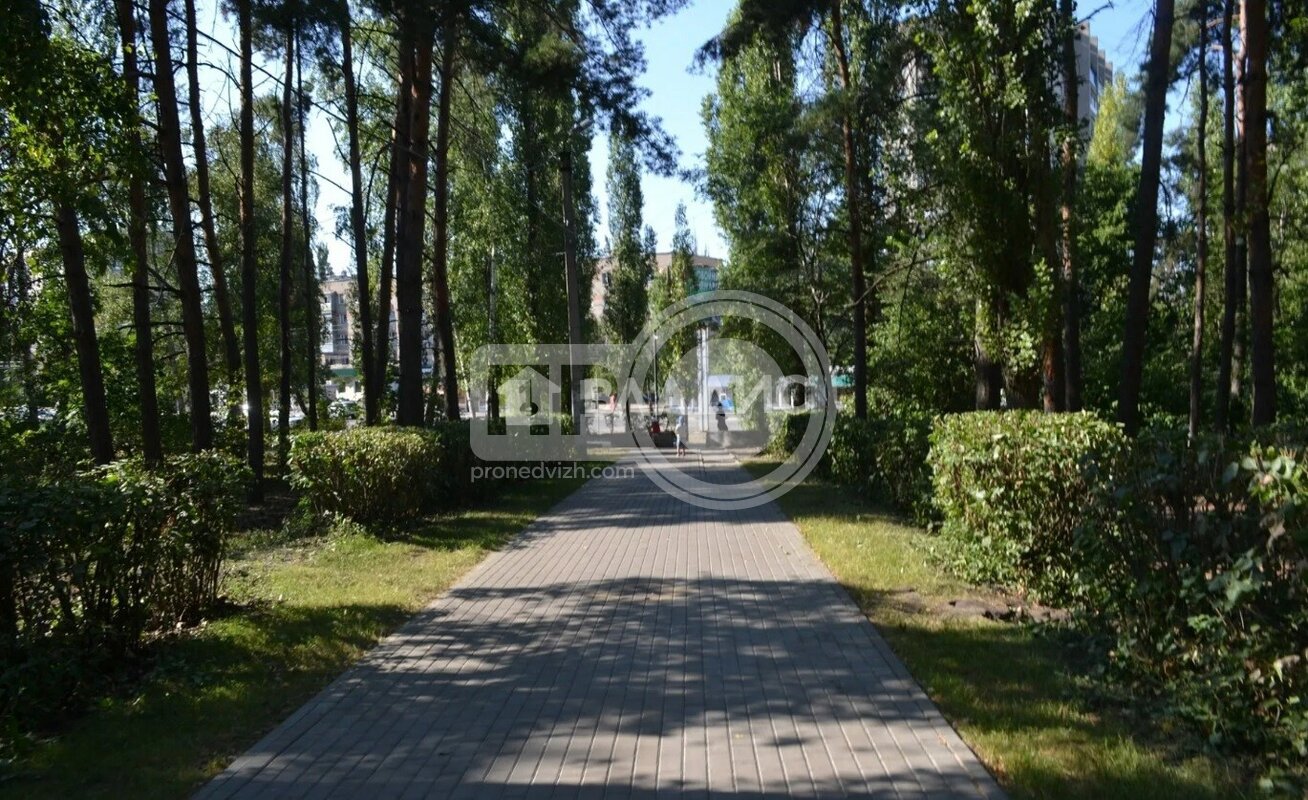 0к, 3/5 К, Россия, Воронеж, улица Молодогвардейцев, 12, 18.3 кв.м