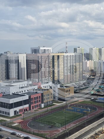 Миниатюра 2к, 17/20 П, Россия, Воронеж, улица Пескова, 6, 60 кв.м
