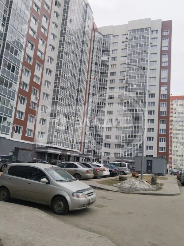 2к, 4/17 П, Россия, Воронежская область, Новоусманский район, посёлок Отрадное, бульвар 70 лет Побед