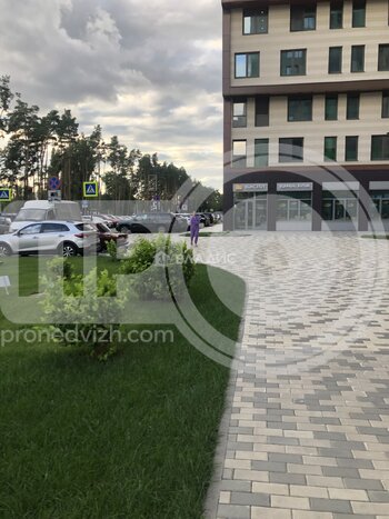 Миниатюра 1к, 19/21 М, Россия, Воронеж, Московский проспект, 132, 44 кв.м