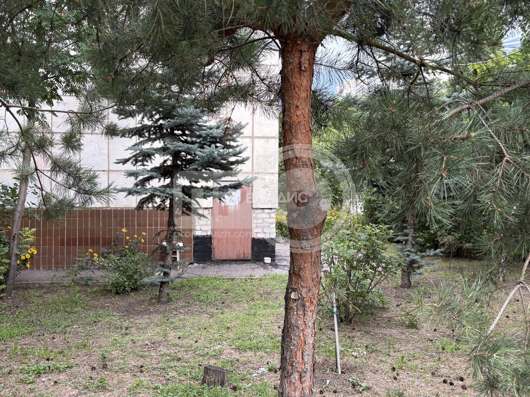 2к, 1/12 К, Россия, Воронеж, Спортивная набережная, 23, 52 кв.м