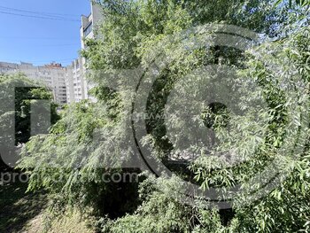 Миниатюра 1к, 4/5 К, Россия, Воронеж, улица Челюскинцев, 136, 30.7 кв.м