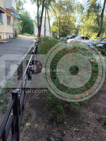 Миниатюра 1к, 4/4 К, Россия, Воронеж, улица Богдана Хмельницкого, 56Б, 31.3 кв.м
