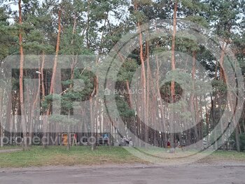 Миниатюра 0к, 4/5 К, Россия, Воронеж, улица Молодогвардейцев, 15, 23.3 кв.м