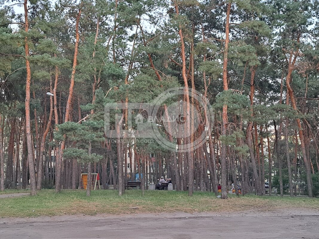 0к, 4/5 К, Россия, Воронеж, улица Молодогвардейцев, 15, 23.3 кв.м