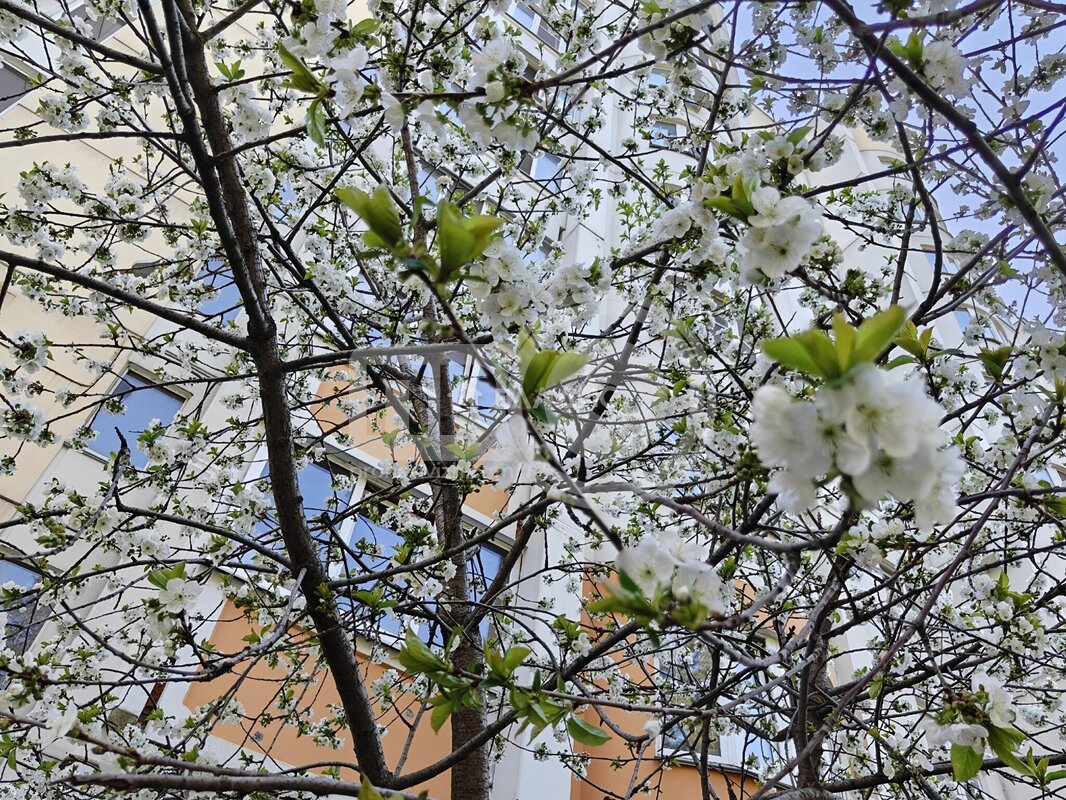 1к, 1/10 П, Россия, Воронеж, улица 9 Января, 241/5, 38.6 кв.м