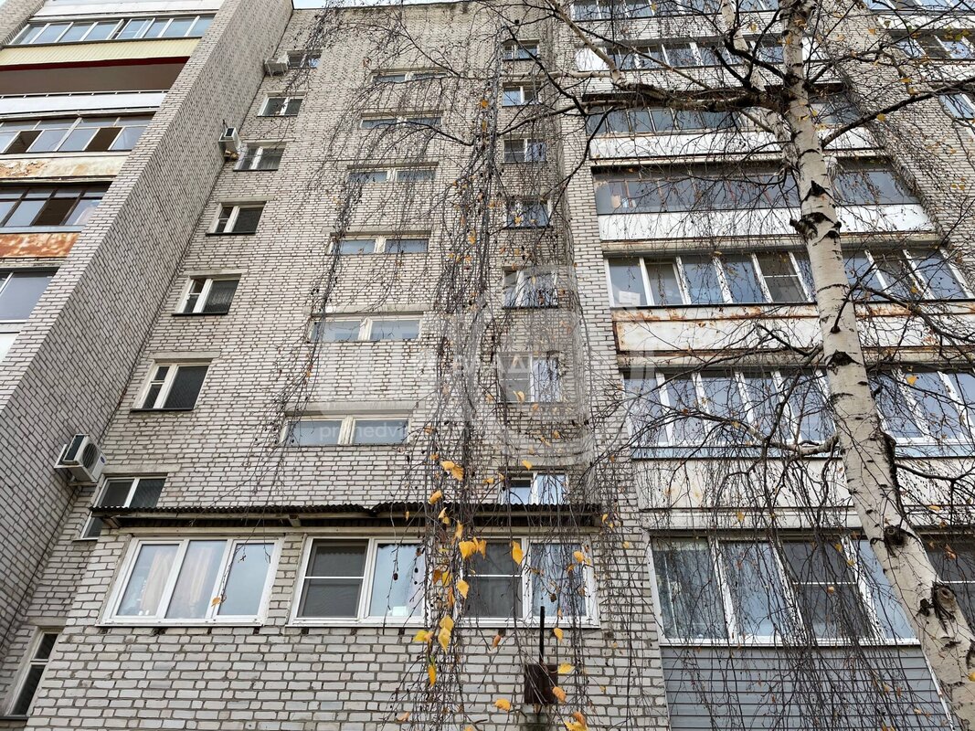 3к, 2/9 К, Россия, Воронеж, Новосибирская улица, 59, 59.5 кв.м