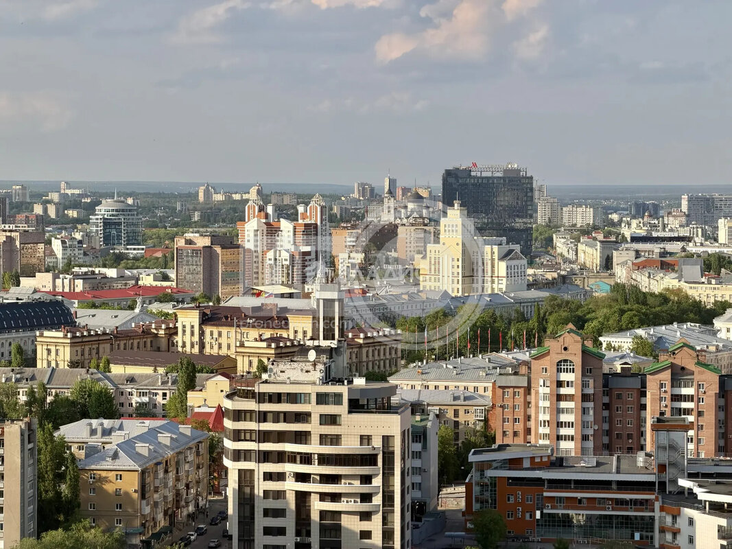 2к, 22/24 К, Россия, Воронеж, улица Станкевича, 45к1, 58.3 кв.м