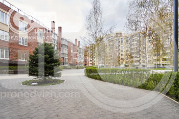 Миниатюра 1к, 1/5 К, Россия, Воронеж, улица Шишкова, 72Б, 48.9 кв.м