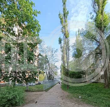 Миниатюра 3к, 2/9 П, Россия, Воронеж, улица Генерала Лизюкова, 55, 54 кв.м
