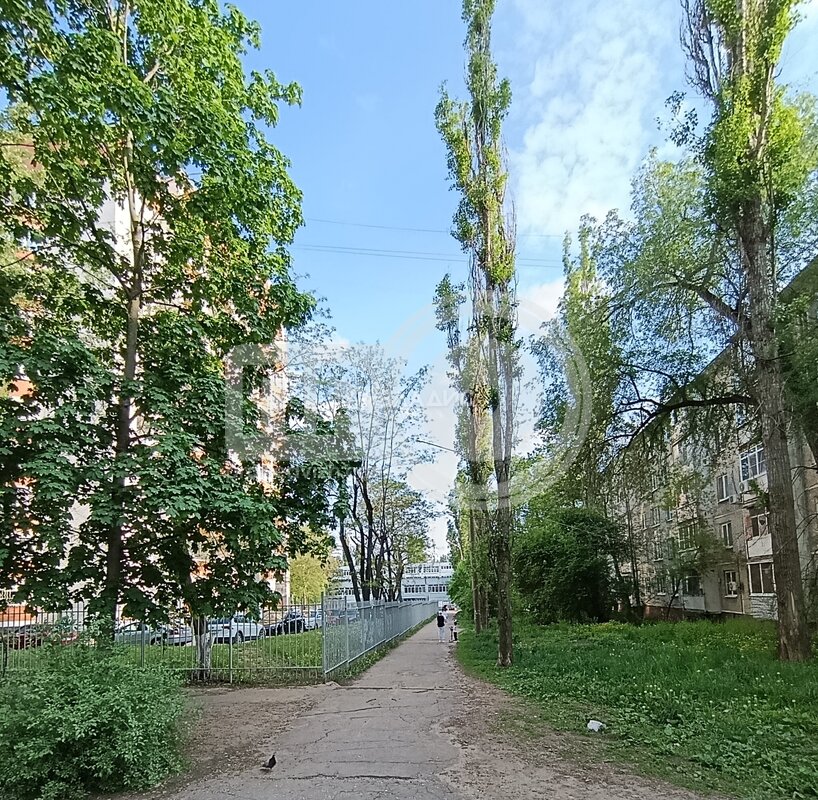3к, 2/9 П, Россия, Воронеж, улица Генерала Лизюкова, 55, 54 кв.м