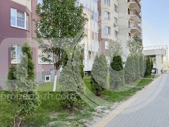 Миниатюра 3к, 13/17 П, Россия, Воронеж, улица Артамонова, 38Д, 91 кв.м