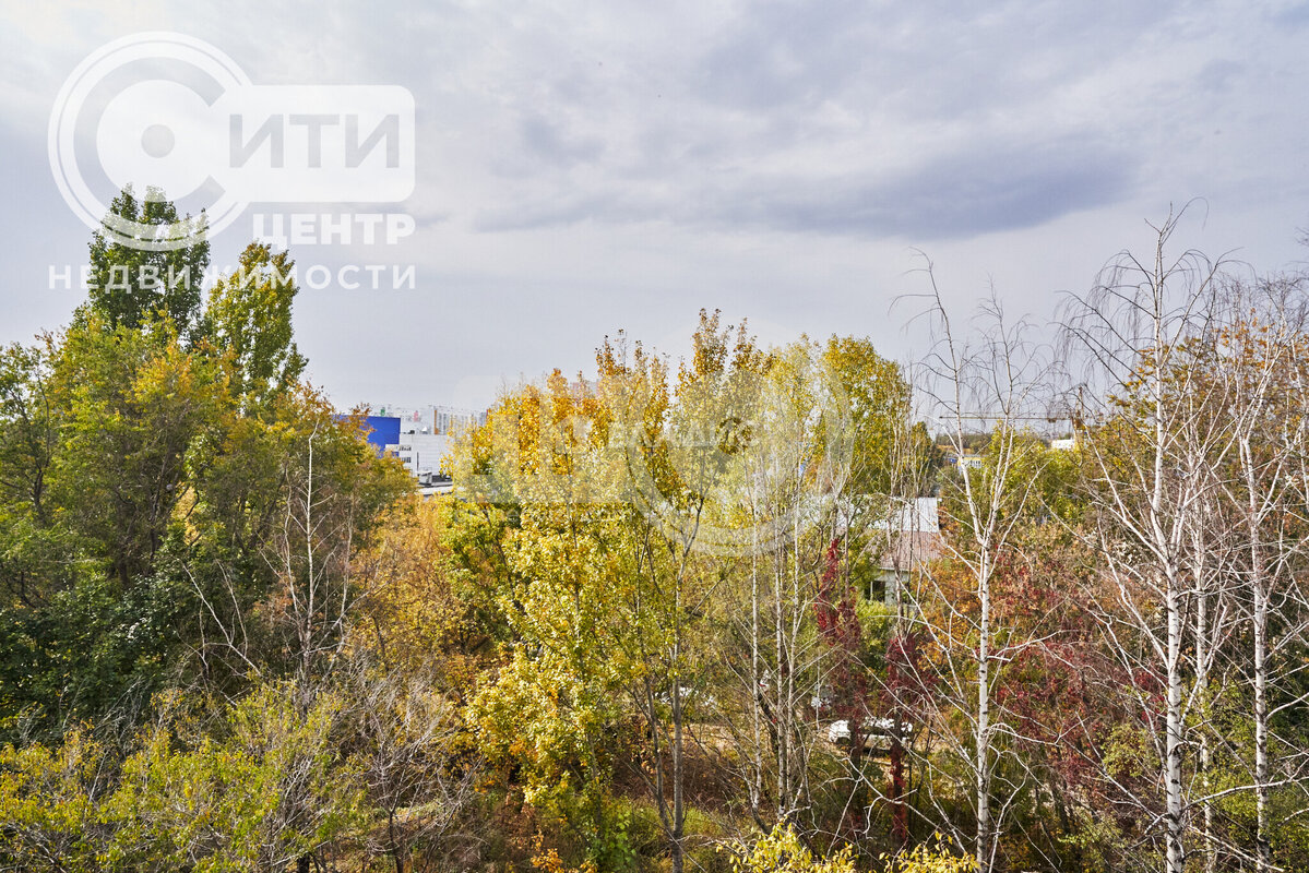 2к, 5/5 П, Россия, Воронеж, улица 45-й Стрелковой Дивизии, 251А, 44.8 кв.м