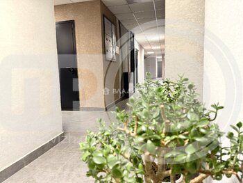 Миниатюра 0к, 14/19 М, Россия, Воронеж, микрорайон Шилово, улица Теплоэнергетиков, 17к2, 29.8 кв.м