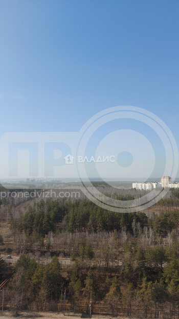 Миниатюра 1к, 19/25 М, Россия, Воронеж, улица 9 Января, 233/40, 41.1 кв.м