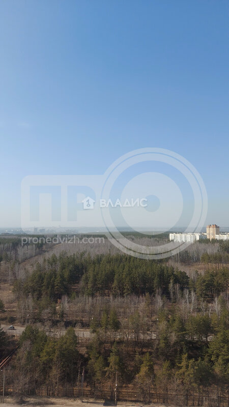 1к, 19/25 М, Россия, Воронеж, улица 9 Января, 233/40, 41.1 кв.м