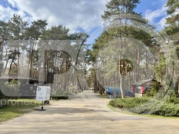 Миниатюра 2к, 4/17 М, Россия, Воронеж, улица МОПРа, 3, 56.2 кв.м