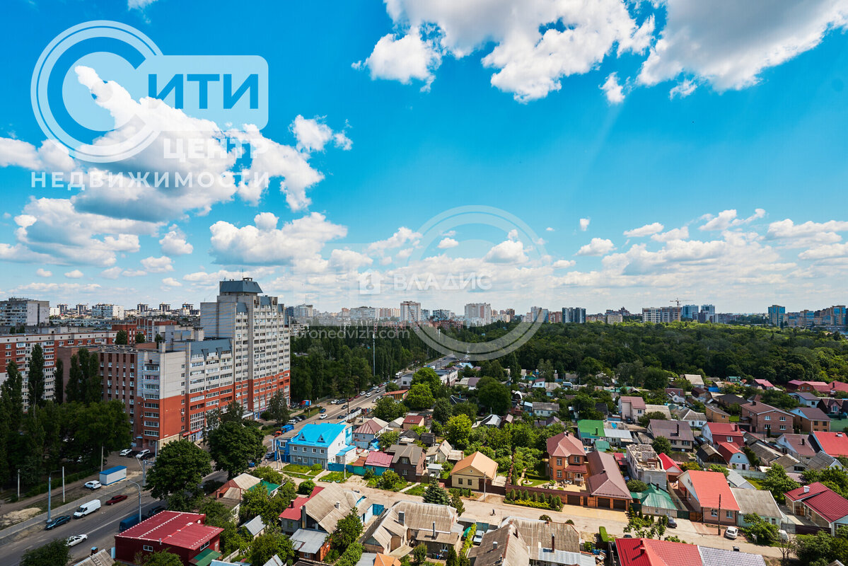 0к, 15/18 М, Россия, Воронеж, улица Хользунова, 99Б, 24.3 кв.м