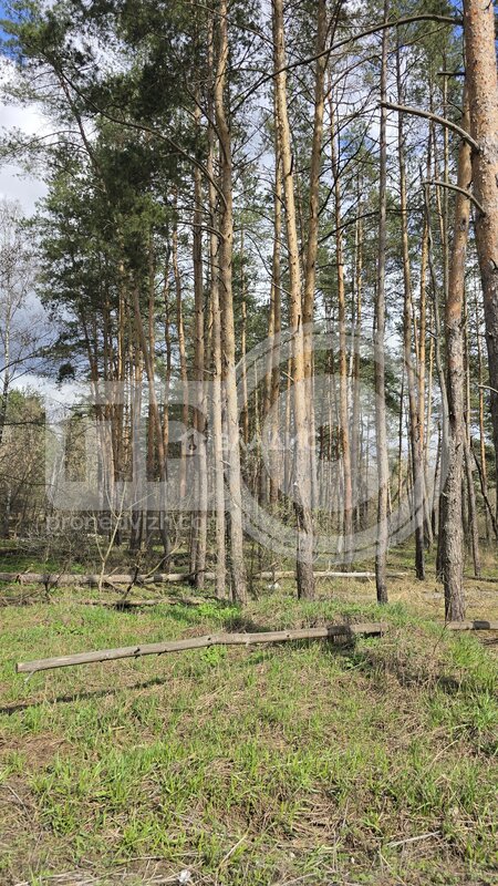 1к, 1/10 П, Россия, Воронеж, улица Курчатова, 36Г, 39.76 кв.м