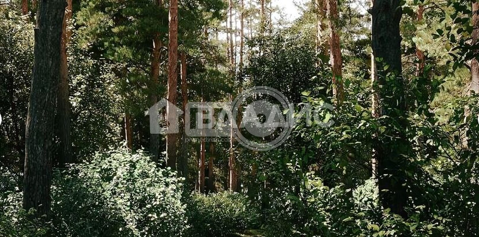 2к, 11/19 М, Россия, Воронеж, Покровская улица, 17к4, 53.09 кв.м