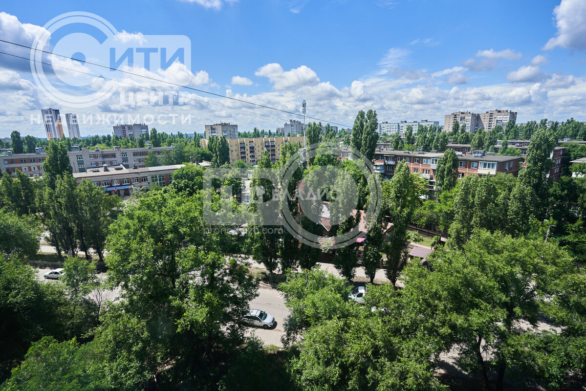 3к, 8/9 П, Россия, Воронеж, улица Юлюса Янониса, 3, 62.9 кв.м