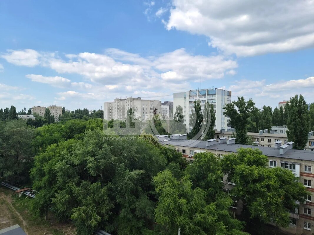 0к, 8/19 К, Россия, Воронеж, улица Ворошилова, 63/2, 20 кв.м