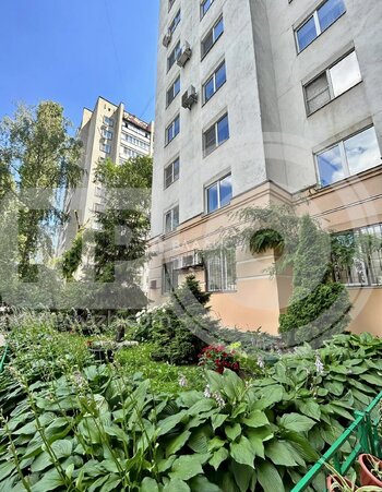 Миниатюра 2к, 2/9 К, Россия, Воронеж, Плехановская улица, 30, 65.7 кв.м