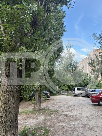 Миниатюра 2к, 2/9 П, Россия, Воронеж, бульвар Победы, 41, 53.4 кв.м